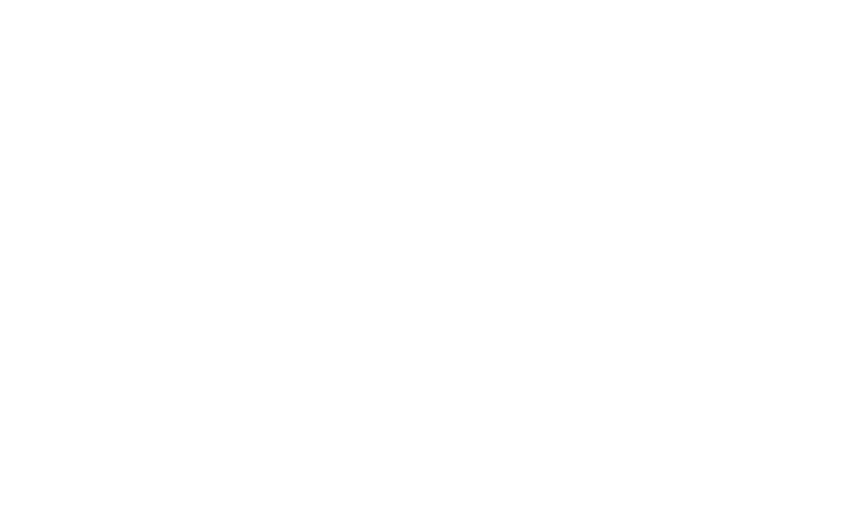 PSV Group Logo